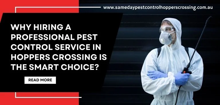 The Importance Of Regular Pest Inspections