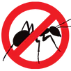 Ant Control Hoppers Crossing