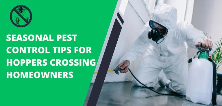 Pest Control Tips